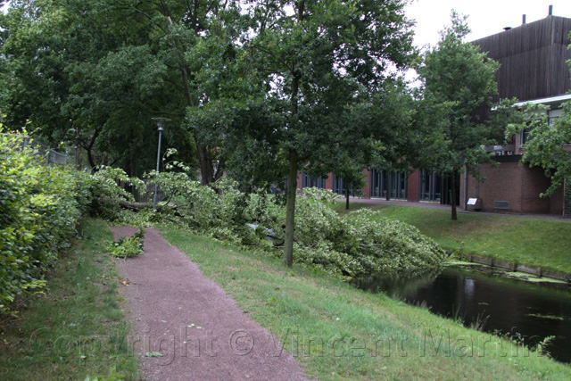 stormschade