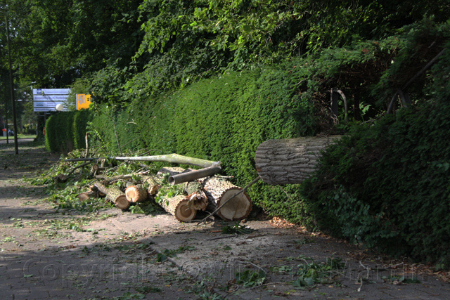 stormschade