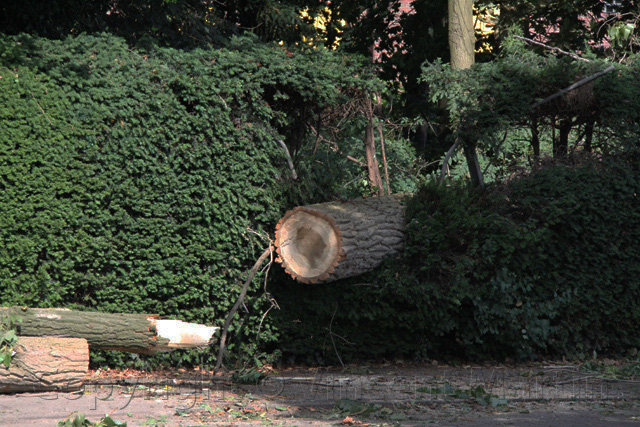 stormschade