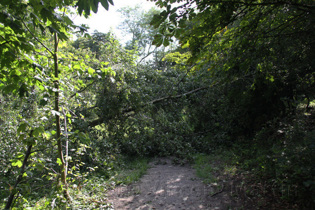 stormschade