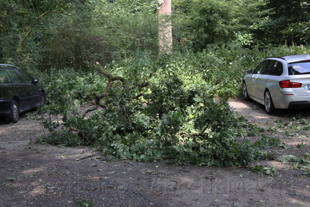 stormschade