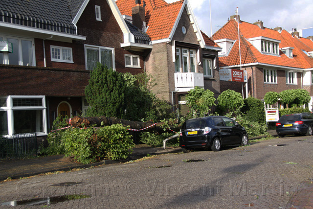 stormschade