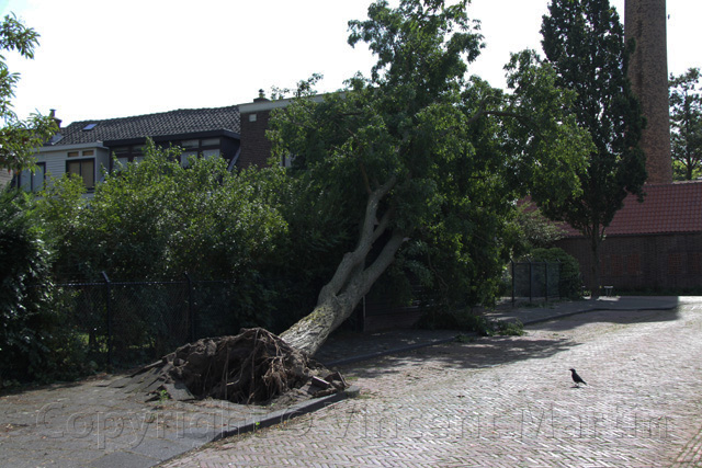 stormschade