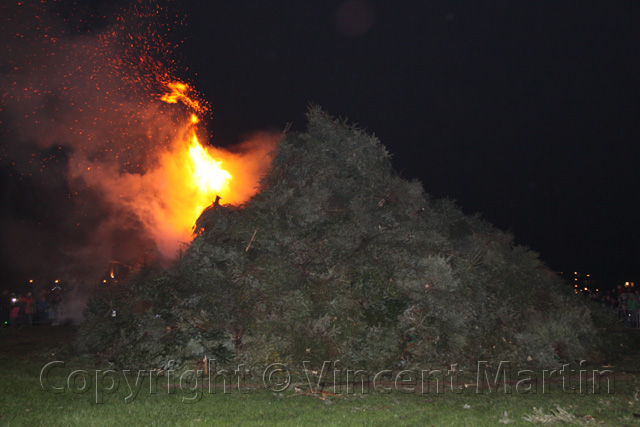 Kerstboomverbranding