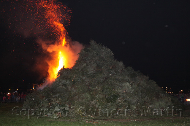 Kerstboomverbranding