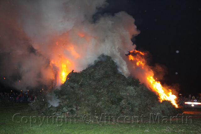 Kerstboomverbranding