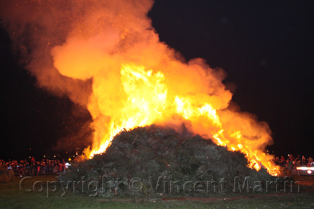 Kerstboomverbaranding