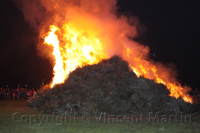 Kerstboomverbaranding