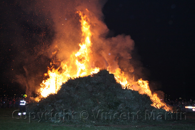 Kerstboomverbaranding