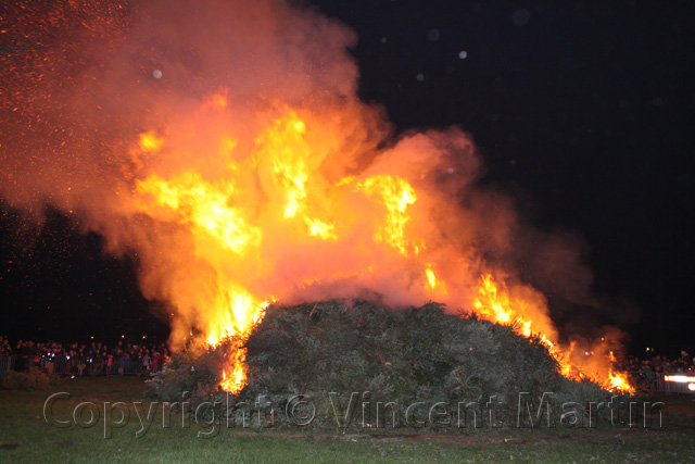 Kerstboomverbaranding