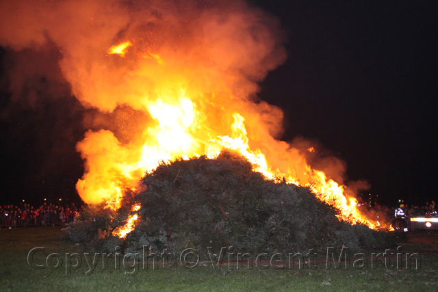 Kerstboomverbaranding