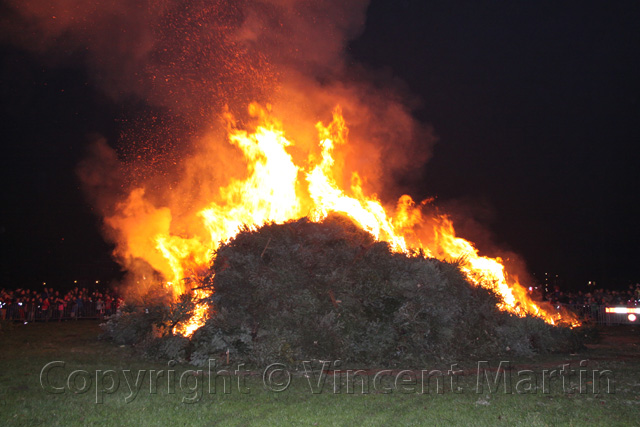 Kerstboomverbaranding