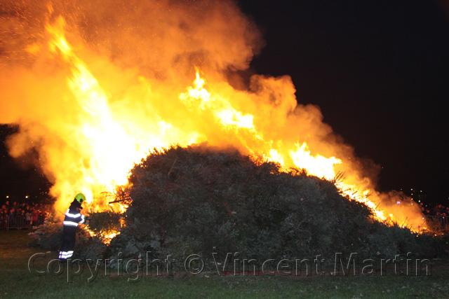 Kerstboomverbaranding