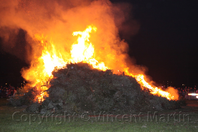 Kerstboomverbaranding