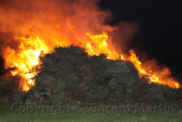 Kerstboomverbaranding