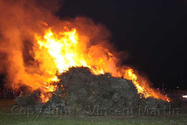 Kerstboomverbaranding