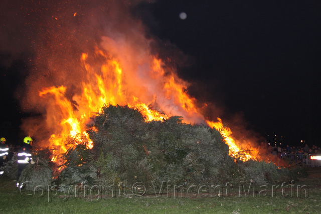 Kerstboomverbaranding