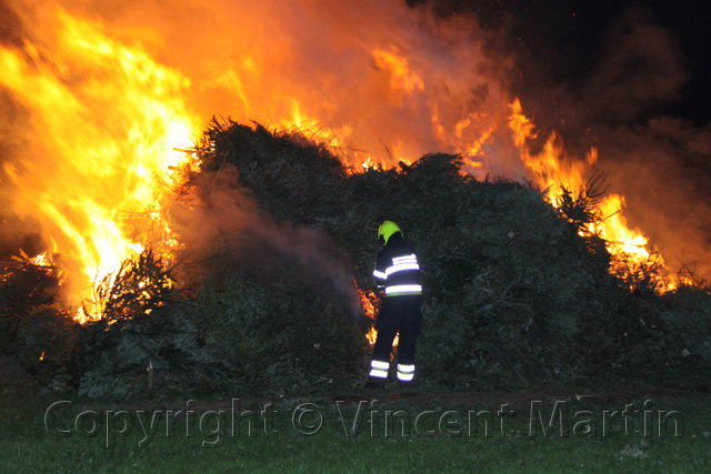 Kerstboomverbaranding