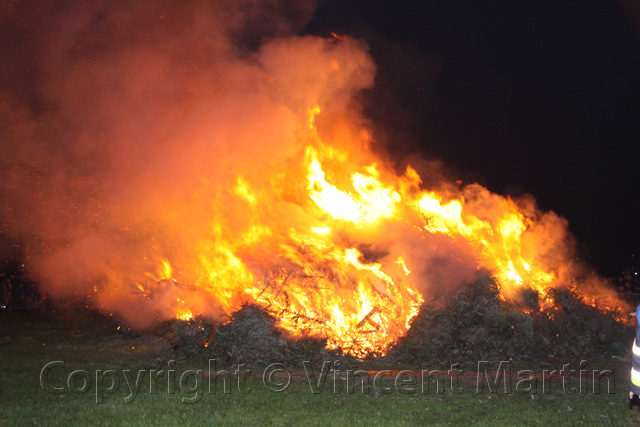 Kerstboomverbaranding