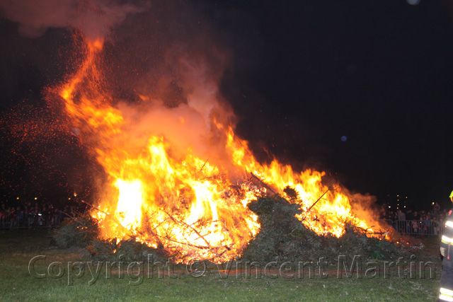 Kerstboomverbaranding