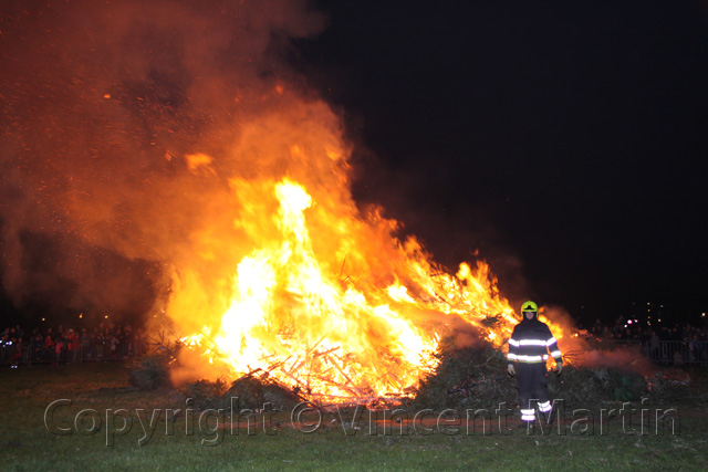 Kerstboomverbaranding