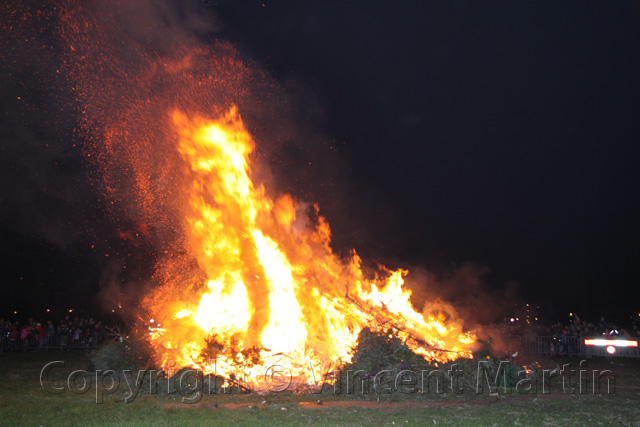 Kerstboomverbaranding