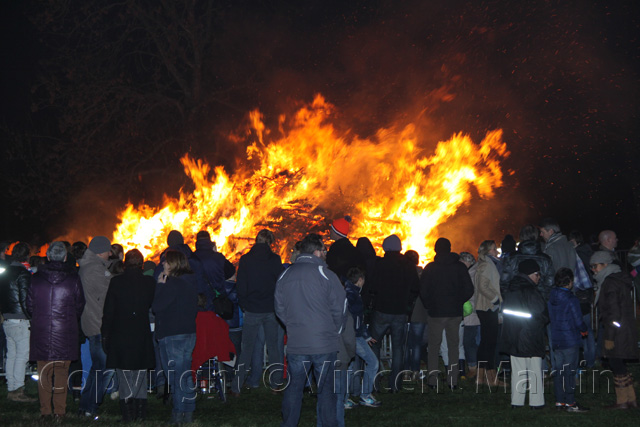 Kerstboomverbaranding